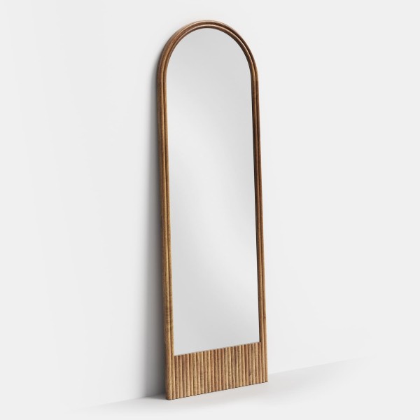 Mirror HANS
